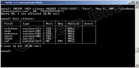 Inserindo Dados MySQL